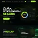 Nexora Corp